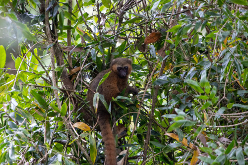 20220921T090925_0014