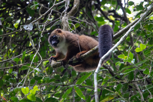 20220921T093227_0018