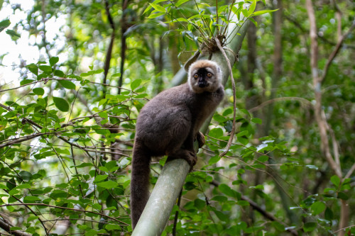 20220921T093957_0048