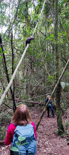 20220921T094017_0050