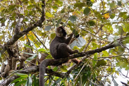 20220921T094924_0060