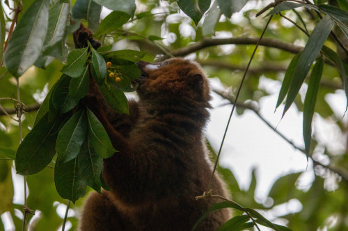 20220921T100644_0062