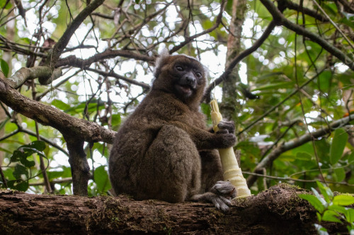 20220921T105237_0100