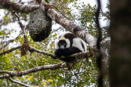 20220921T111556_0116