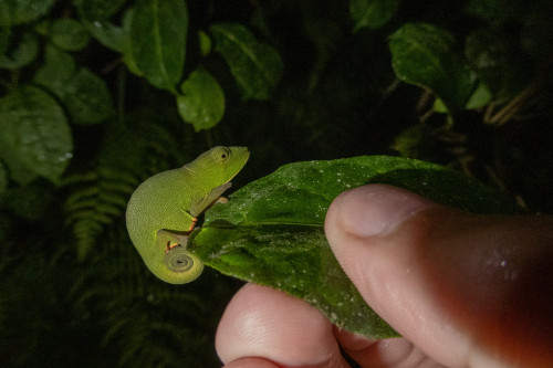 20220921T185214_0197