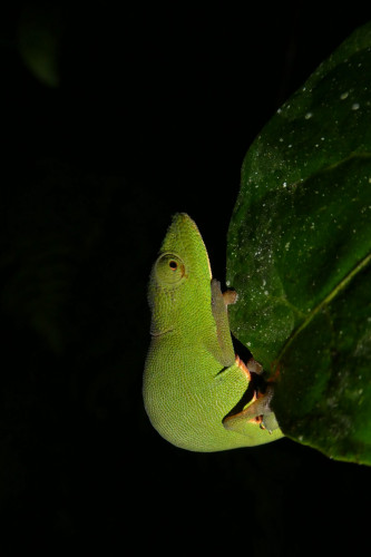 20220921T185408_0201