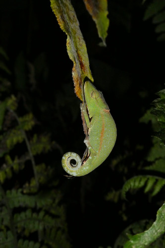 20220921T185941_0203