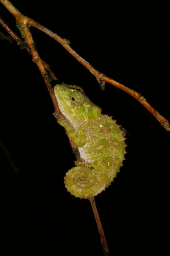 20220921T191105_0219