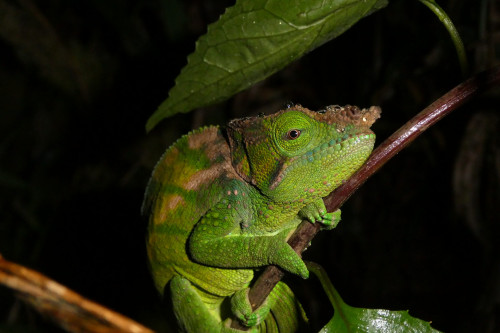 20220921T191930_0233