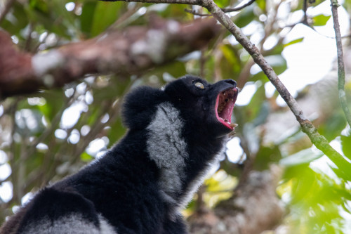 20220926T103436__0043