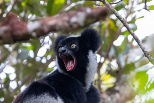 20220926T103437__0045