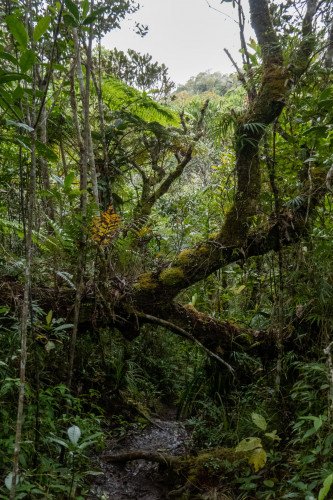 20220926T104853__1130