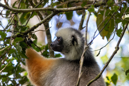 20220926T121119__0095