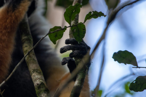 20220926T121227__0097