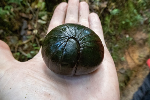 20220926T143316__1164