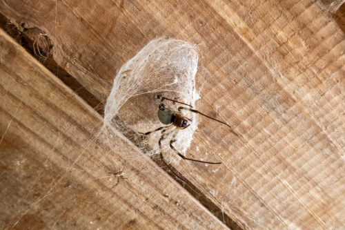 20220927T080748__1186