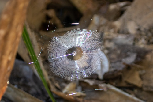 20220927T083802__0183