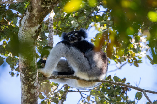 20220927T090922__0195