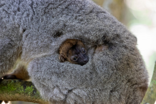 20220927T093801__0211