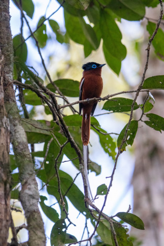 20220927T112040__0249