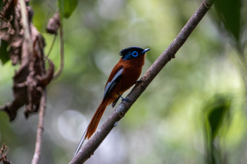 20220927T112134__0251