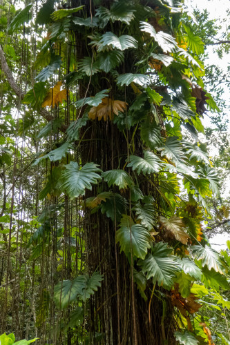 20220927T123815__1246