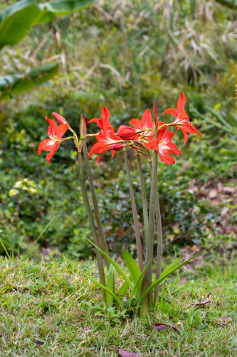 20220927T124702__0261