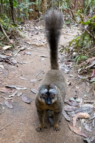 20220927T130524__1302