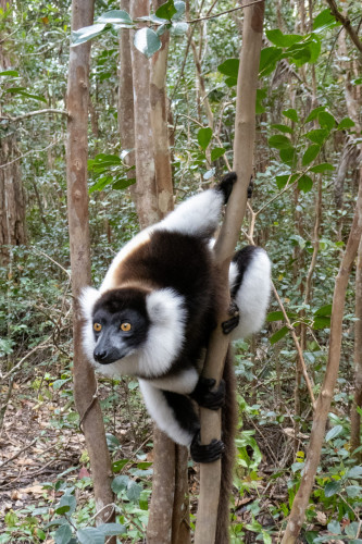 20220927T130737__1312