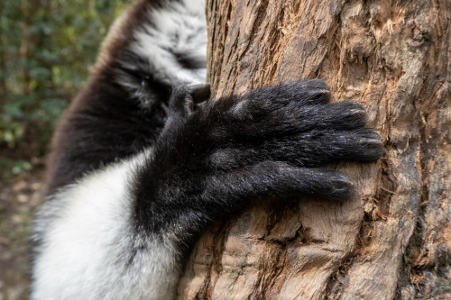 20220927T130918__1320