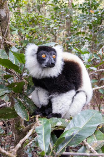 20220927T131625__0281