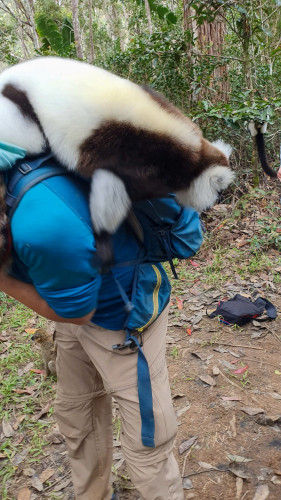 20220927T131901__1637