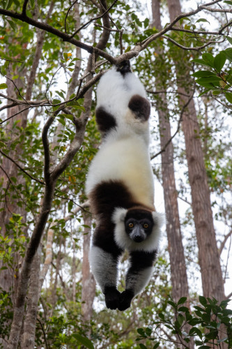 20220927T132615__0297