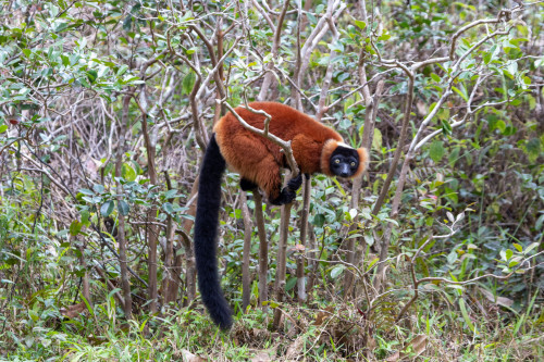 20220927T133217__0311