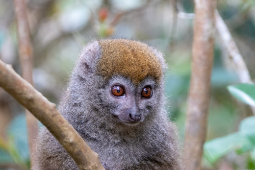 20220927T135100__0351