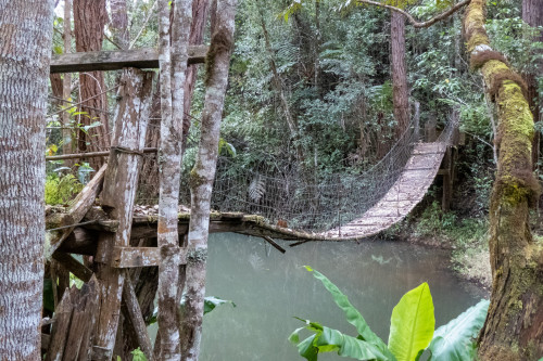 20220927T142641__1354