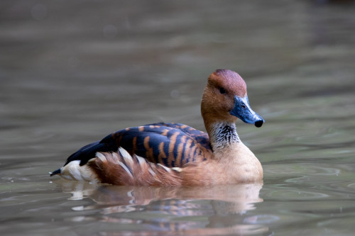 20220927T145204__0405