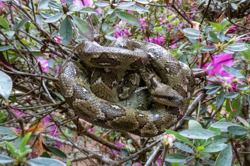 20220927T150042__1382