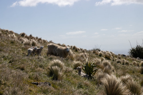 20221007T142630__0066