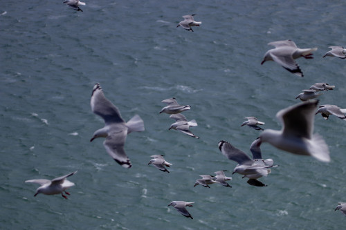 20221011T144645_0096