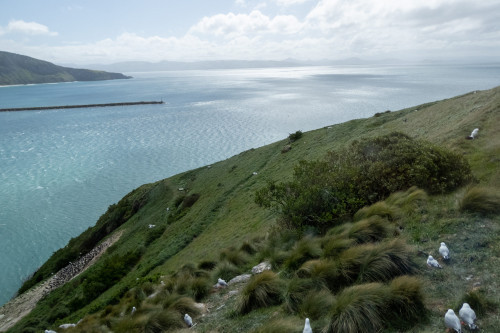 20221011T144754_0097