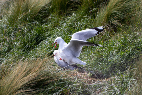 20221011T145053_0104