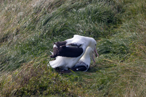 20221011T145235_0106