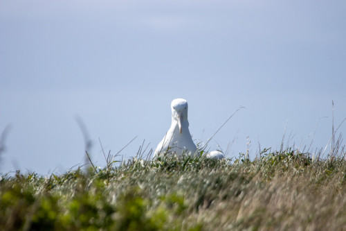 20221011T145330_0108