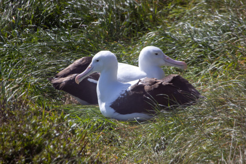 20221011T150933_0122