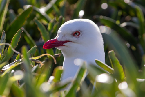 20221011T152142_0150