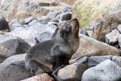 20221011T165440_0192