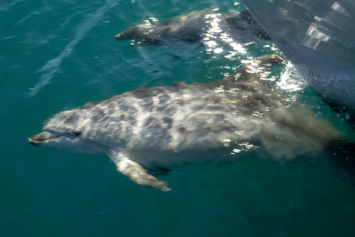 20221014T093608_0832