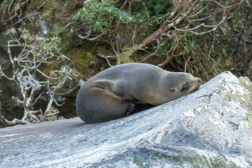 20221014T100758_0843