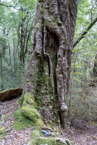 20221015T163543_1095